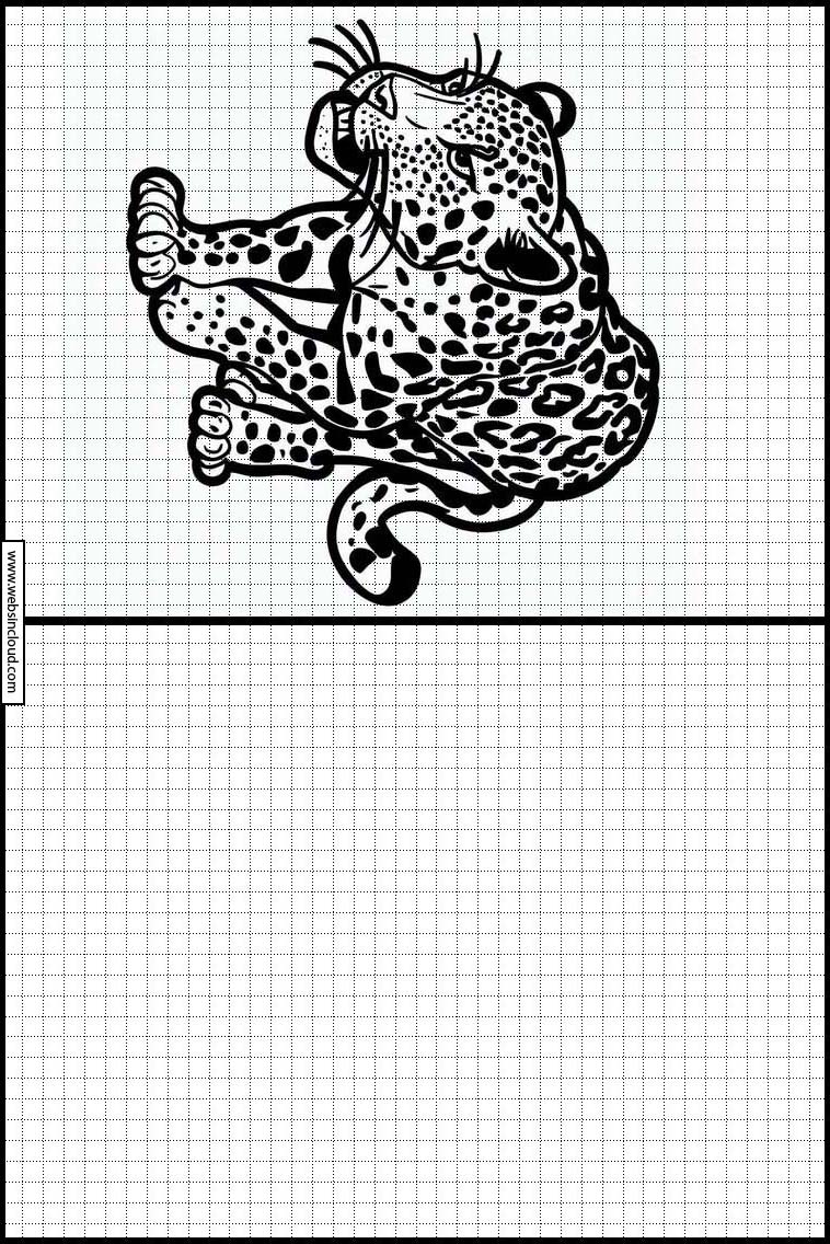 Leopardos - Animais 4