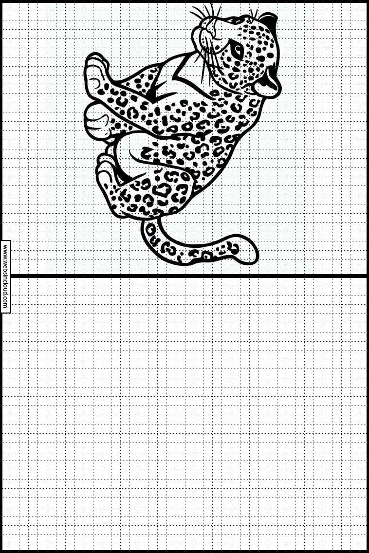 Leopardos - Animales 5