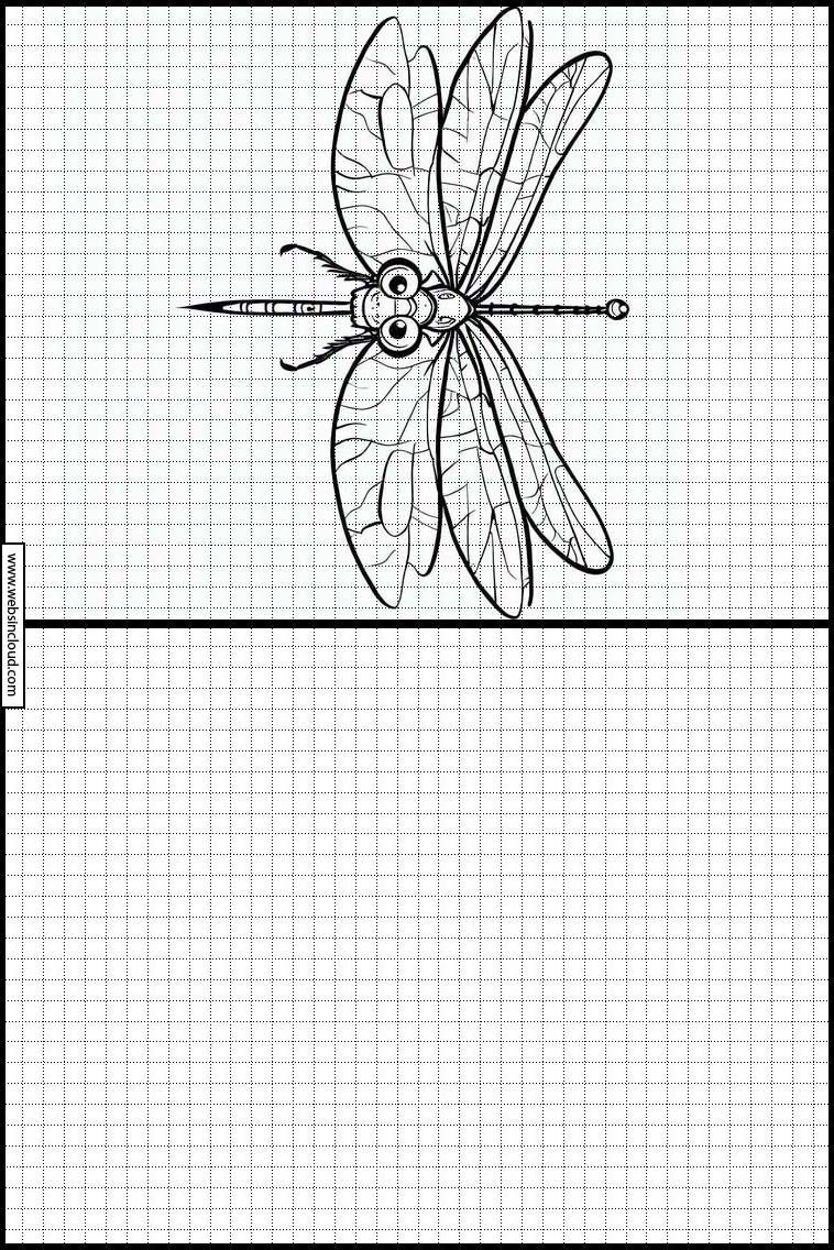 Libellen - Tiere 5