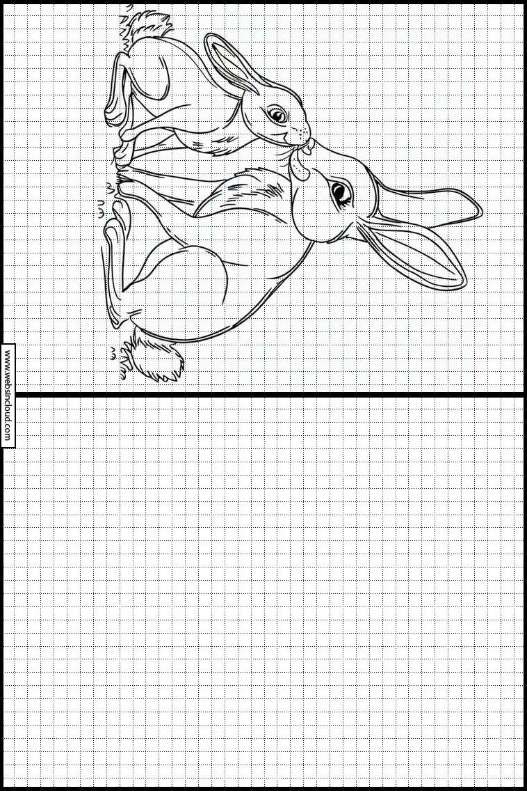 Hare - Dyr 2