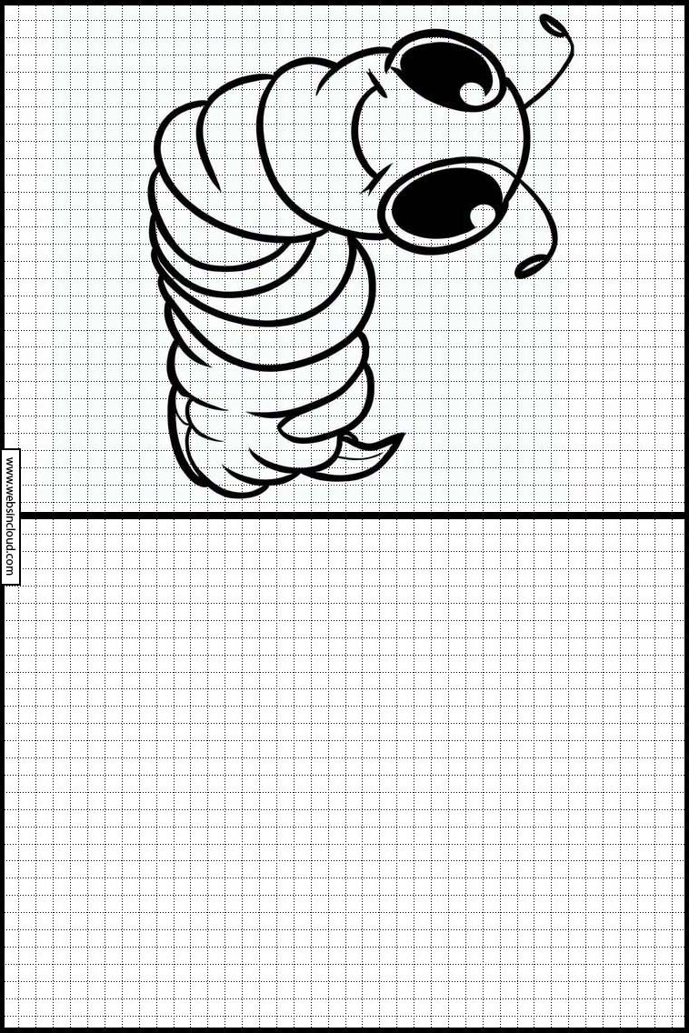 Lombrices - Animales 4