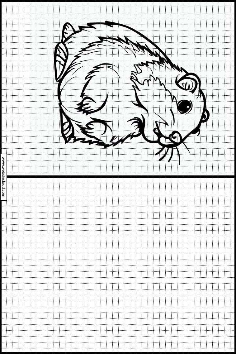 Marmottes - Animaux 3