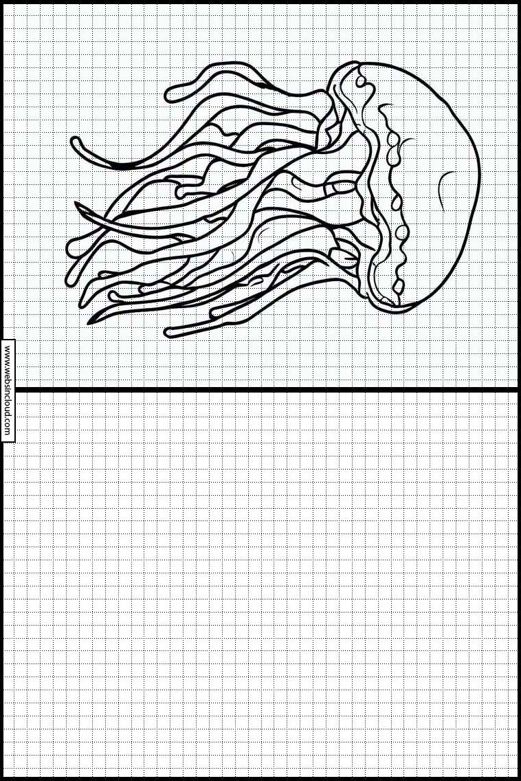 Medusas - Animales 3