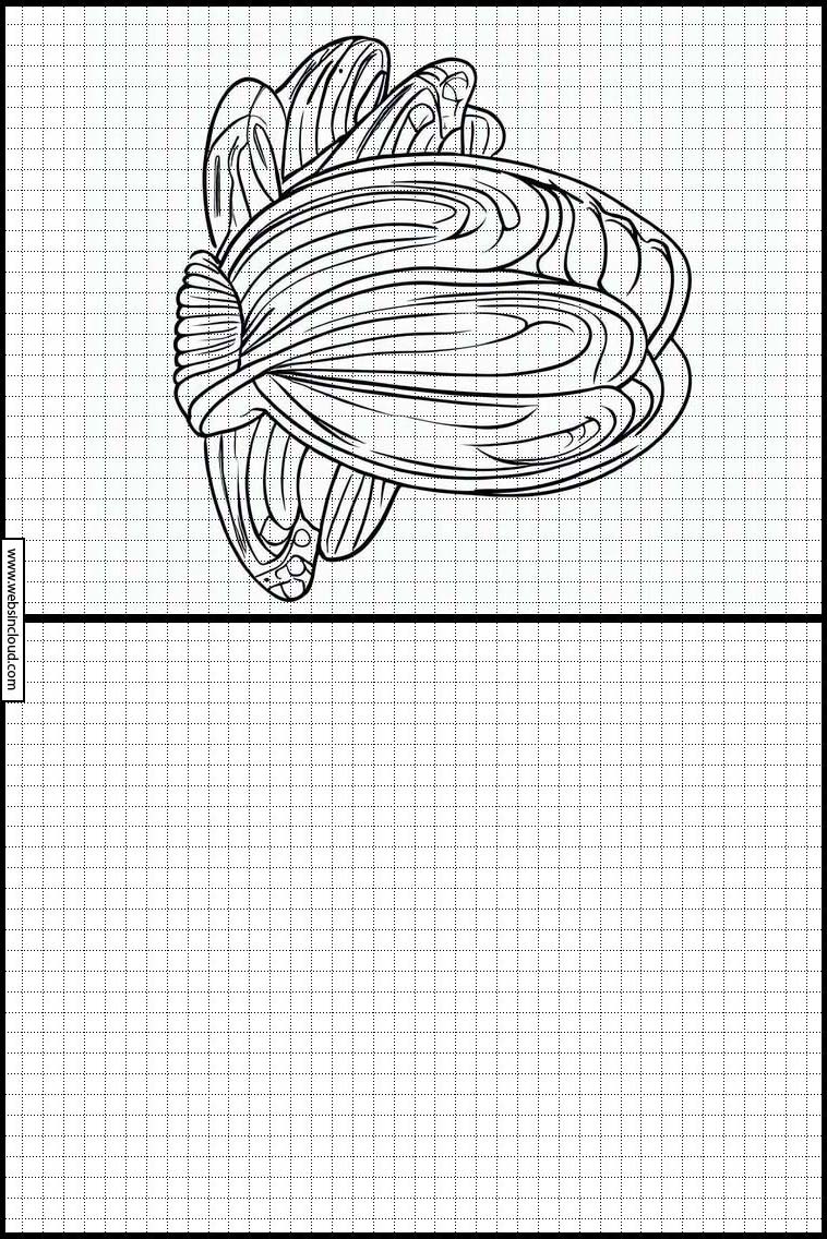 Mussels - Animals 1