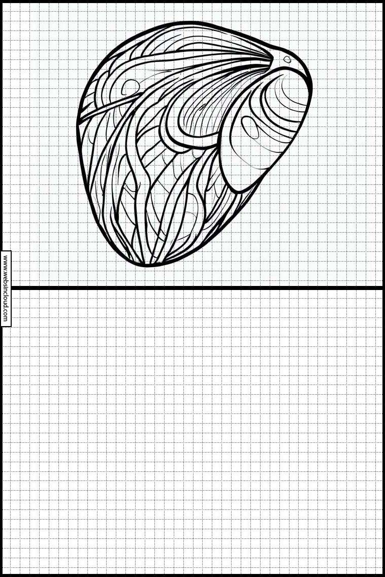 Mejillones - Animales 2