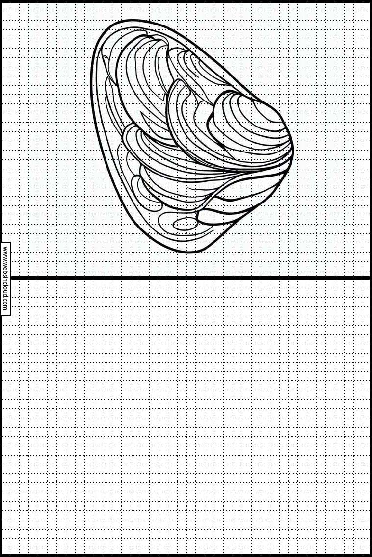 Moules - Animaux 5