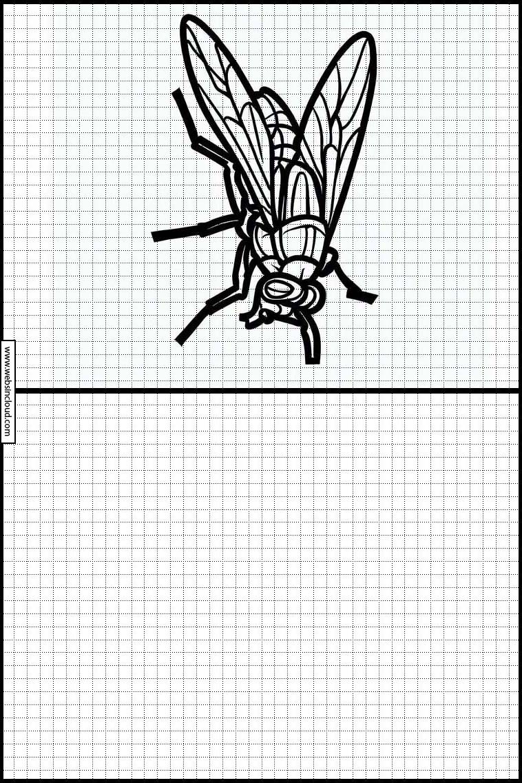 Vliegen - Dieren 1