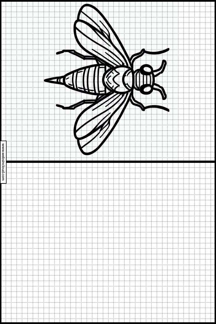 Vliegen - Dieren 2