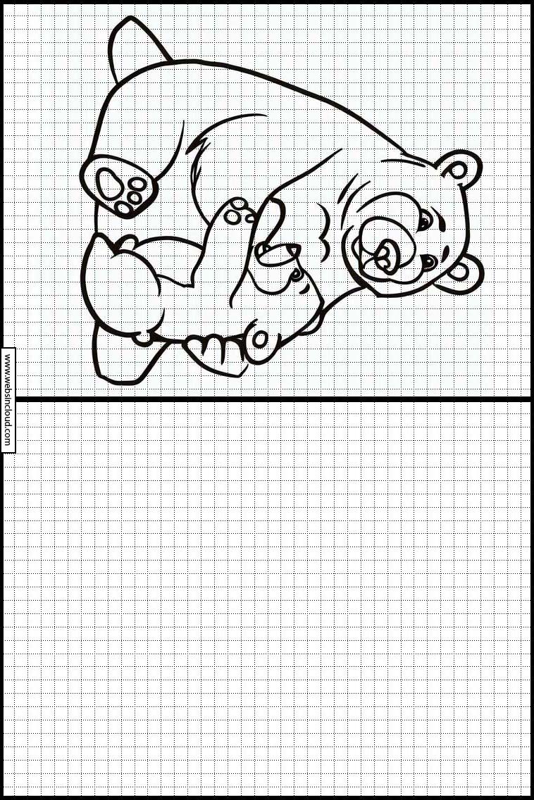 곰 - 동물 6