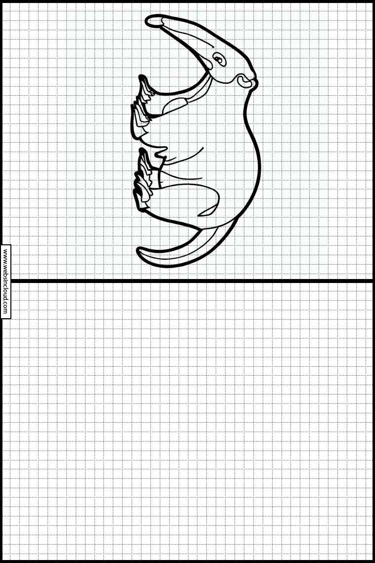 Miereneters - Dieren 1