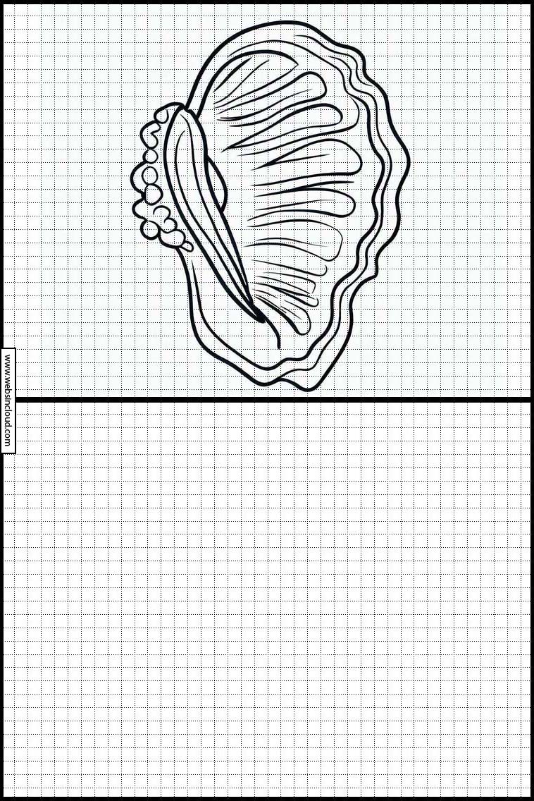 Oesters - Dieren 2