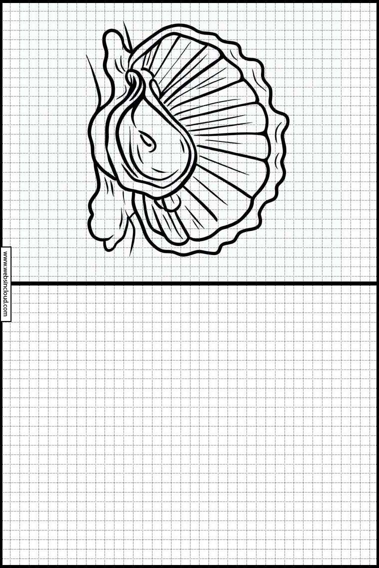 Oesters - Dieren 3