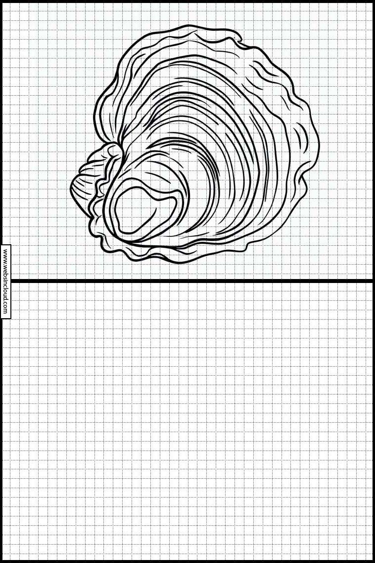 Oesters - Dieren 4