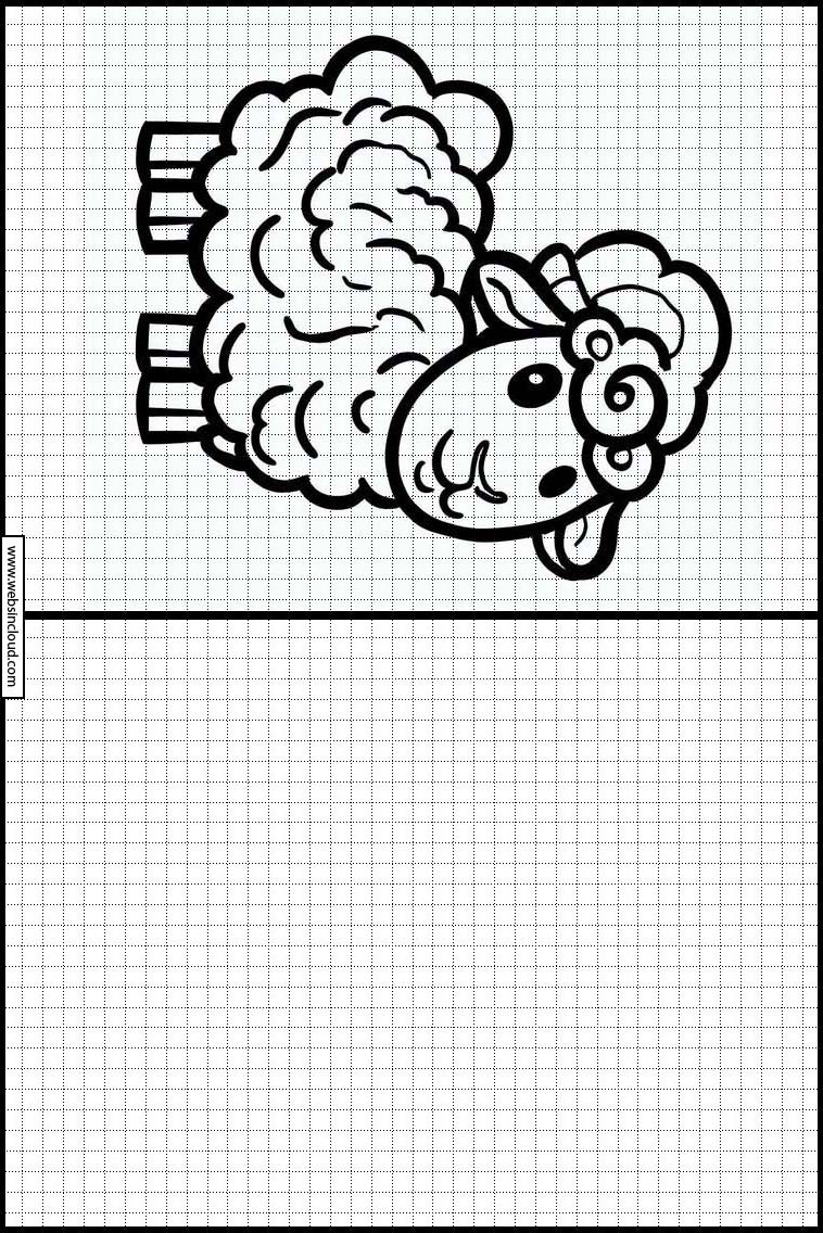 Sheep - Animals 5