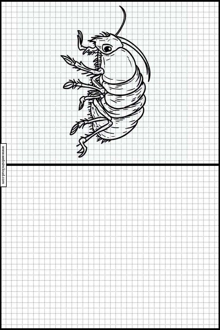 Pulgas - Animales 1