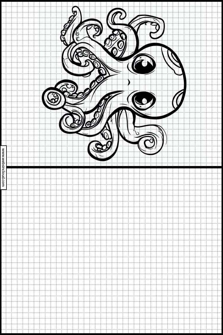 Octopuses - Animals 1