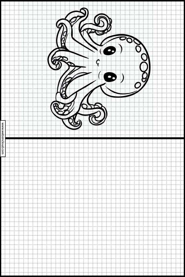 Blæksprutter - Dyr 5