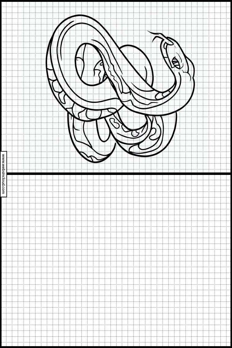 Serpientes - Animales 2