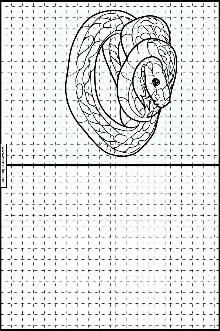 Serpientes - Animales 4