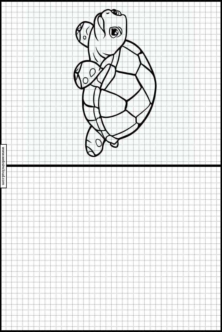 Sköldpaddor - Djur 1