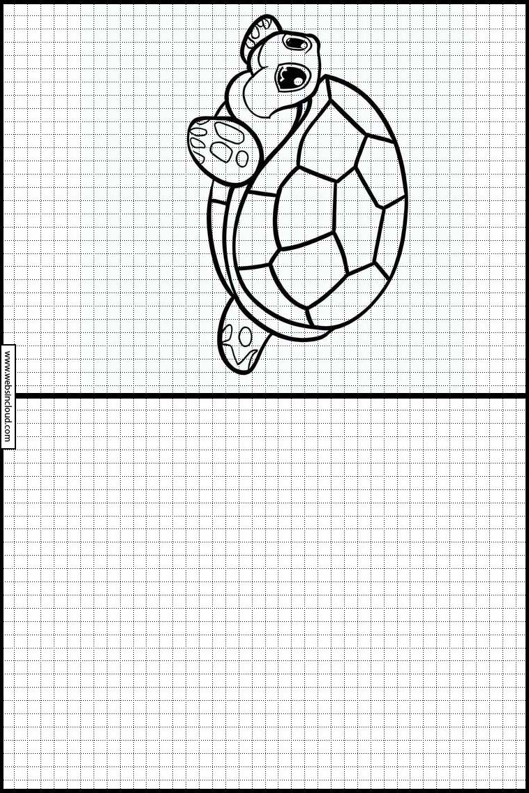 Sköldpaddor - Djur 4