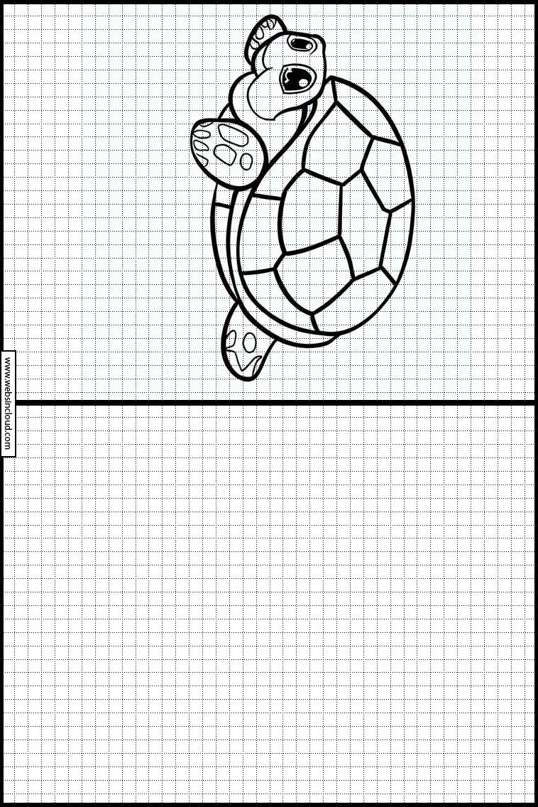 Tortues - Animaux 4