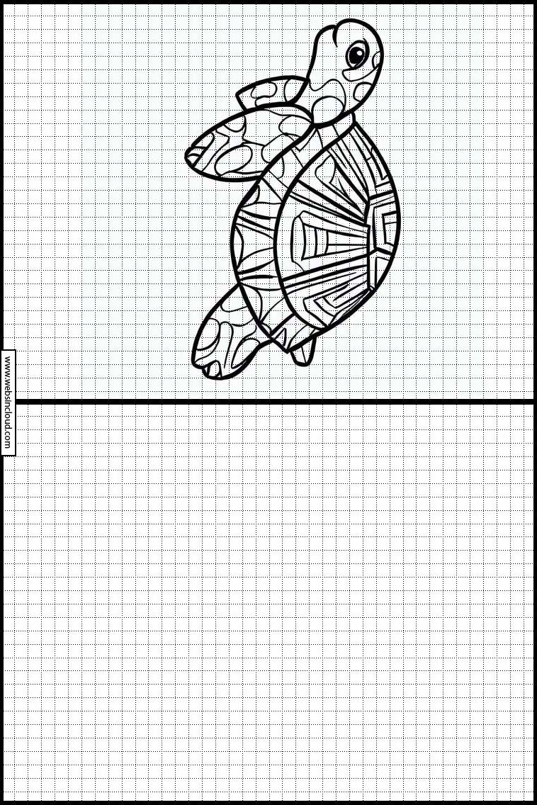 Tortues - Animaux 6