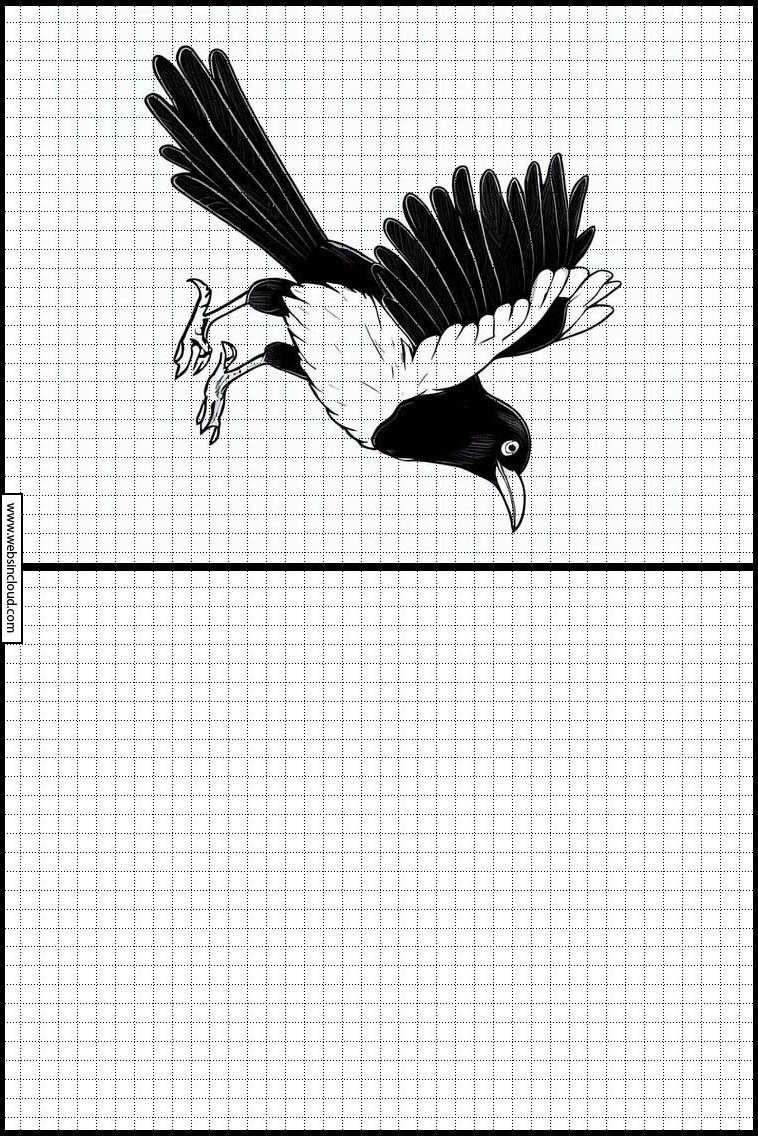 Eksters - Dieren 3