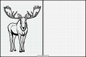 Elks - Animals 4