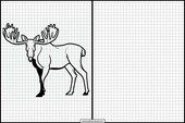 Elks - Animals 5