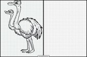 Ostriches - Animals 1