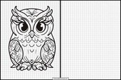 Owls - Animals 2