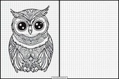 Owls - Animals 3