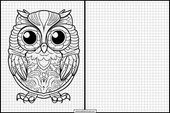 Owls - Animals 6