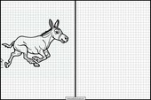 Donkeys - Animals 1