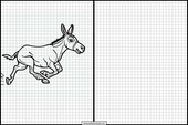 Burros - Animales 1