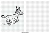Donkeys - Animals 2