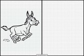 Burros - Animales 2