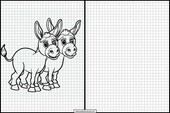 Donkeys - Animals 3