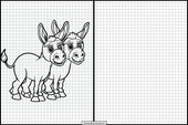 Burros - Animales 3