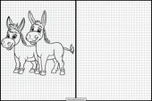 Burros - Animales 5