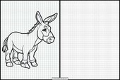 Donkeys - Animals 6