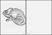 Chameleon - Zvířata 2
