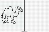 Camelos - Animais 1
