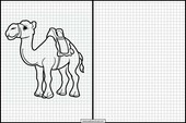 Camellos - Animales 2