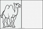 Camellos - Animales 4