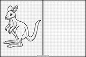 Kangaroos - Animals 1