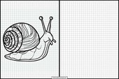 Schnecken - Tiere 3