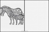 Zebre - Animali 5
