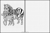 Zebras - Tiere 6